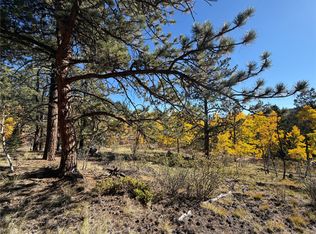 184 Spruce Drive, Guffey, CO 80820