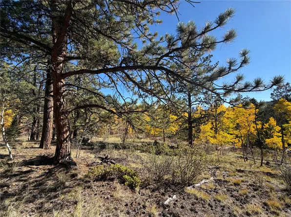 184 Spruce Drive, Guffey, CO 80820