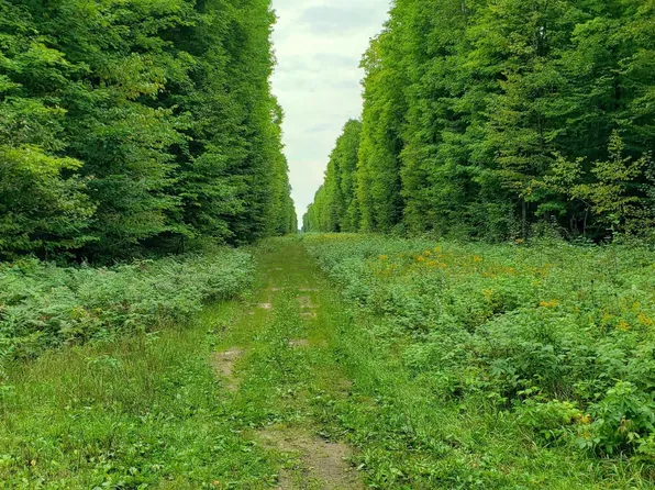Greenway Dr, Frederic, MI 49733