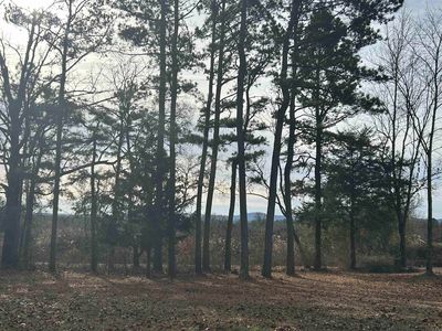 Polk Rd #136, Cove, AR, 71937