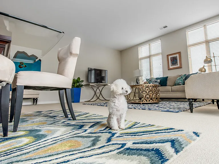 Beaumont Place Apartments — Photo 11