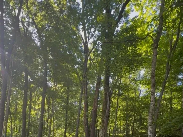 140 & 141 Wilderness Rd, Mammoth Cave, KY 42259