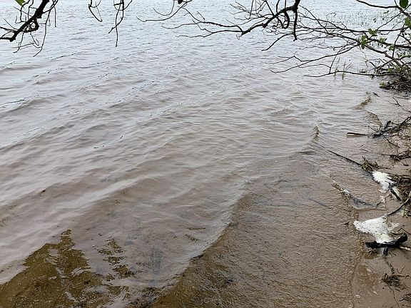 4th image of On Shishebogama Dr