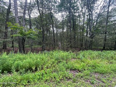 169 Lakewood Dr, Canadensis, PA, 18325