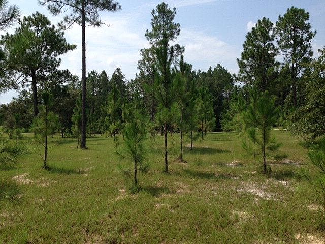 1st image of  NE County Road 340
