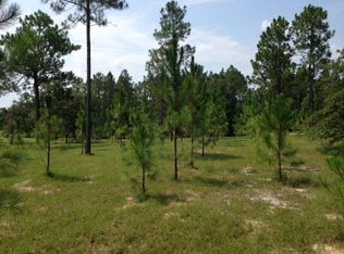 NE County Road 340, High Springs, FL 32643