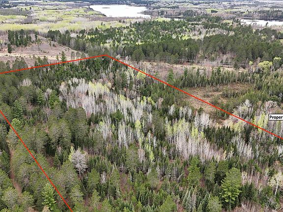 4th image of Scout Camp Rd