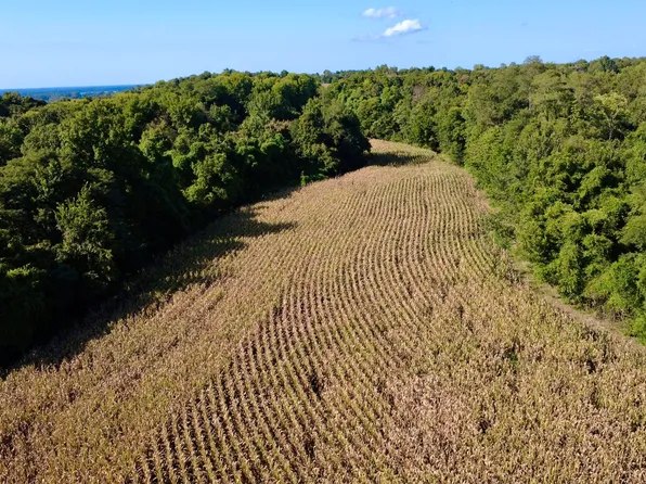 0 New Lakton Rd, Bardwell, KY 42023