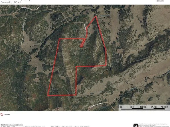 Lots 5 & 6 Piney Ridge Rnch, La Veta, CO 81055