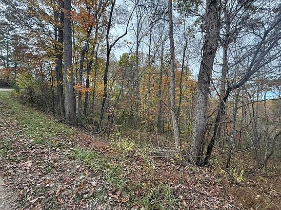 3rd image of 123 Crestmont Hales Rdg