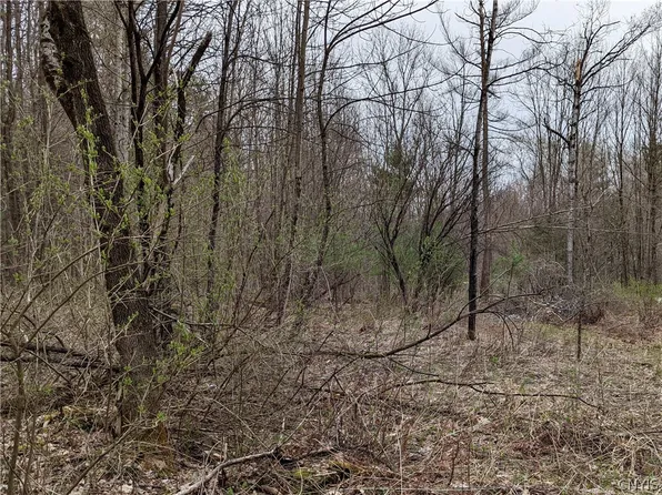 19 Cedar Ln, Glenfield, NY 13343