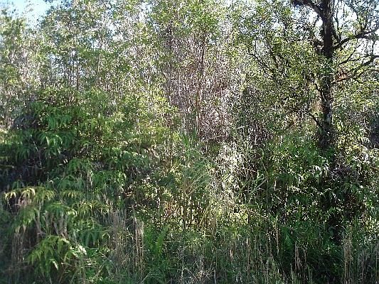 1st image of Road 1 Uhini Ana Lot 2546