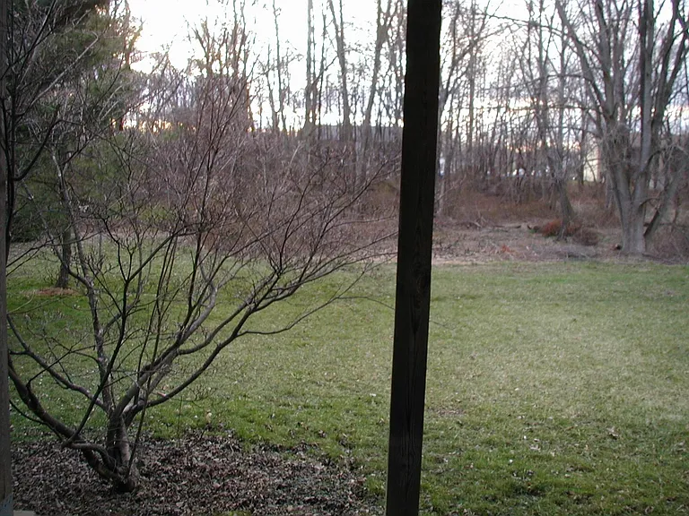 4556 Winding Brook Dr — Photo 11