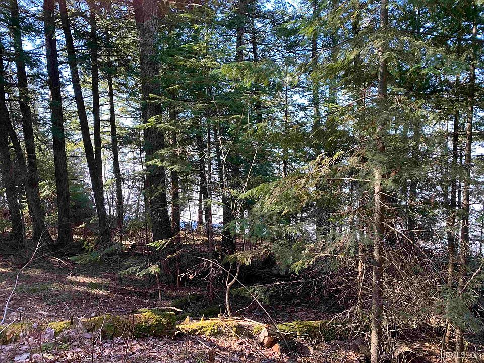 (Undisclosed Address), Bergland, MI 49910 Zillow