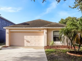 11508 Ivy Flower Loop, Riverview, FL 33578