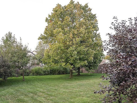 3rd image of 1914 Canyon Creek Dr