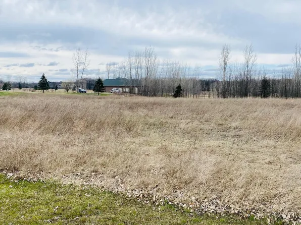 E Pickard Rd, Mount Pleasant, MI 48858