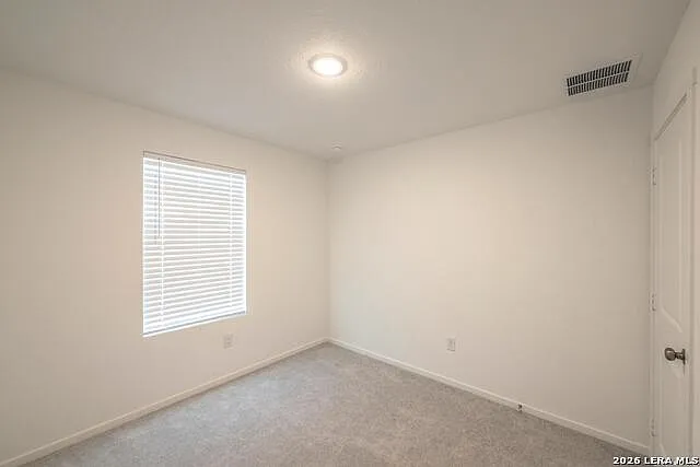 287 Bailey Blf — Photo 19