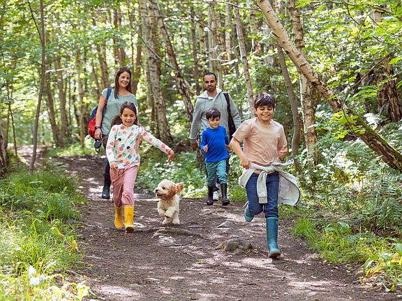 Explore the Community Trails