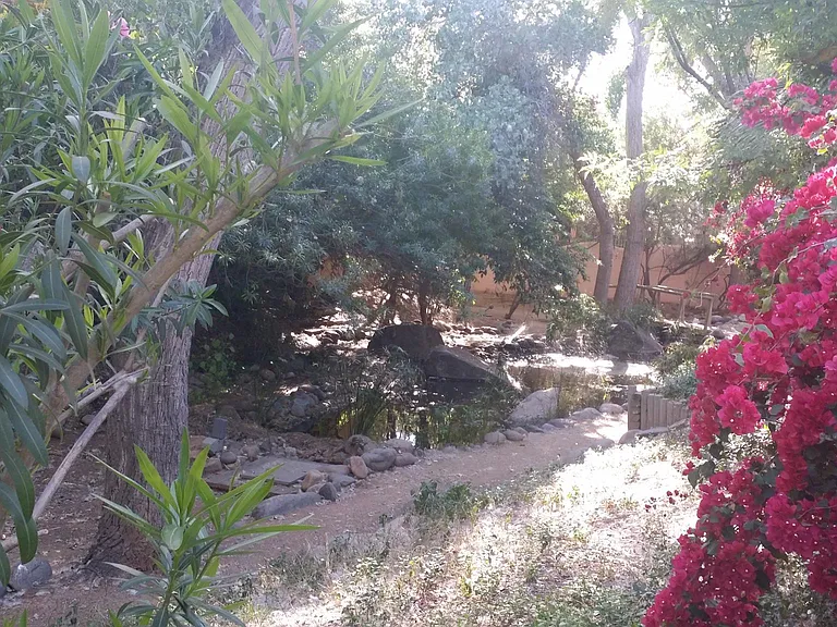 One of community trails