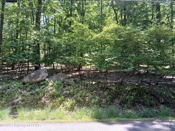 251 Bear Run Dr, Drums, PA 18222