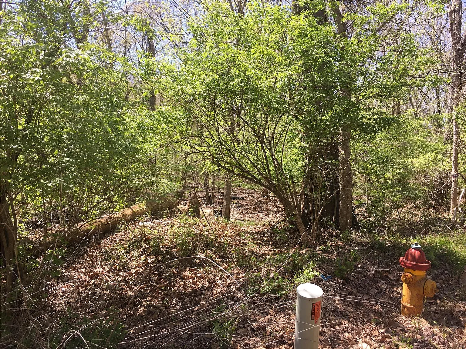 1269 Kiefer Creek Rd photo 1