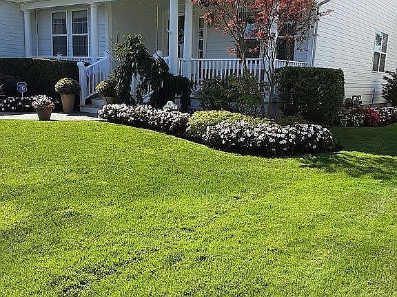 3rd image of 45 Tyler Dr