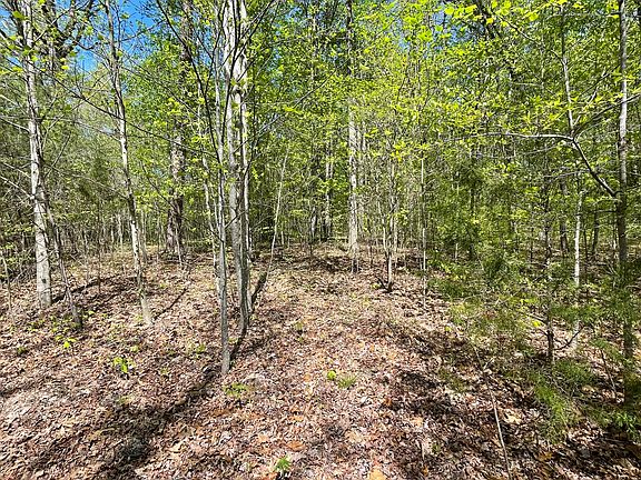 2nd image of LOT 210 Stillwater Blvd