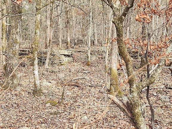 3rd image of Persinger Rd