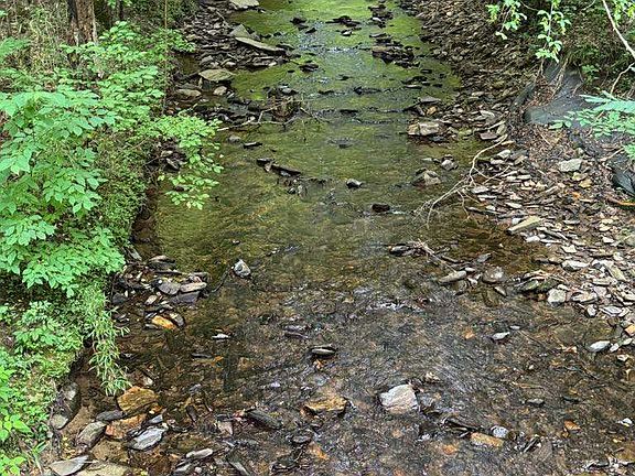 2nd image of 1634 Carman Way