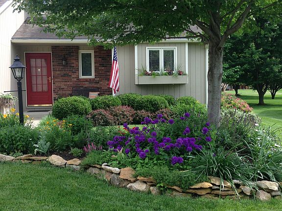 Beautiful flower bed