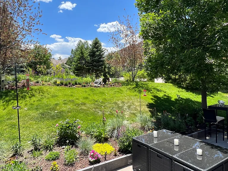 Back yard in the spring