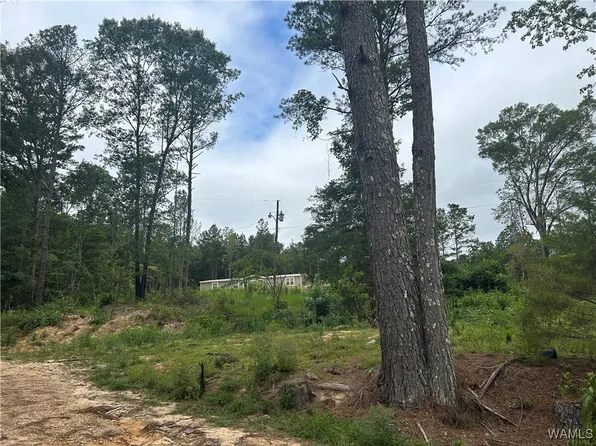 273 Honeysuckle Dr, Fayette, AL 35555