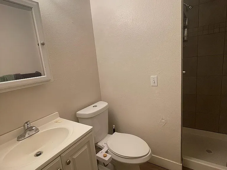 master bathroom with shower
