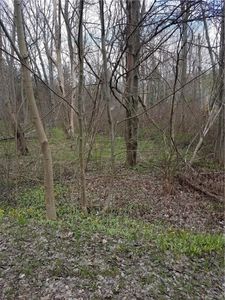 Mitchell St, Erie, PA, 16509