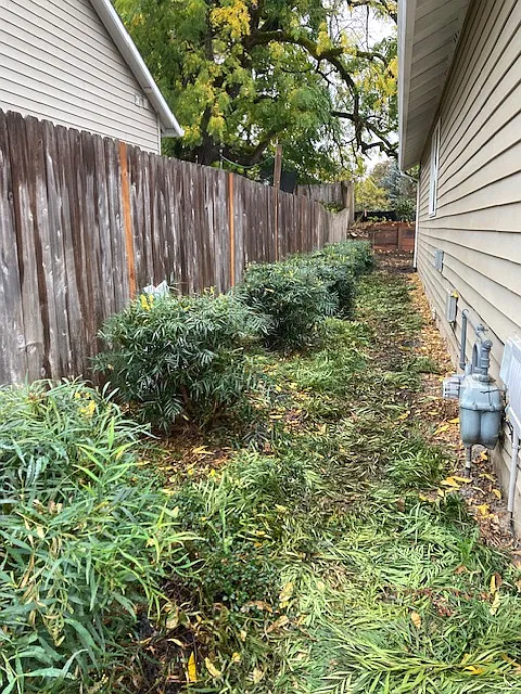 3 bed, 1239 sqft, $2,400 — Photo 3