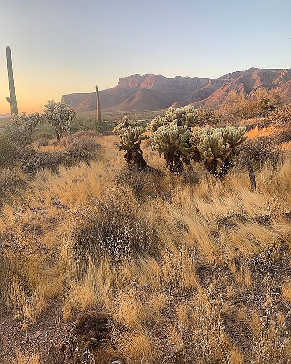 1st image of 0 S Yaqui Ln #1