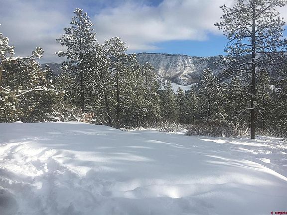 4th image of 339 Big Bear Trail