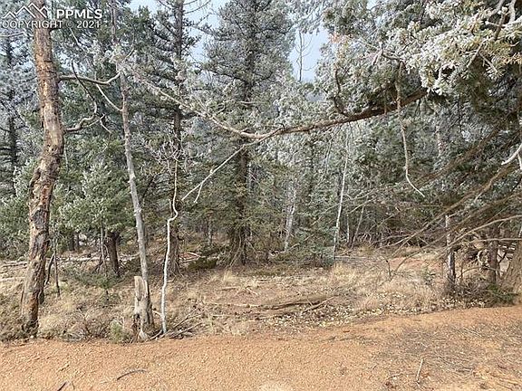 4th image of 303 Cottonwood Lake Dr