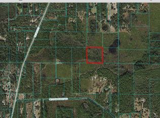 11752 NE 220th St, Fort Mc Coy, FL 32134