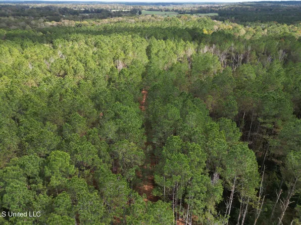 503 Highway 13 S, Mendenhall, MS 39114