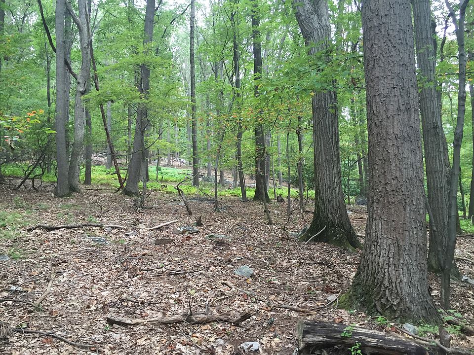 2nd image of Jackson Mountain Ct