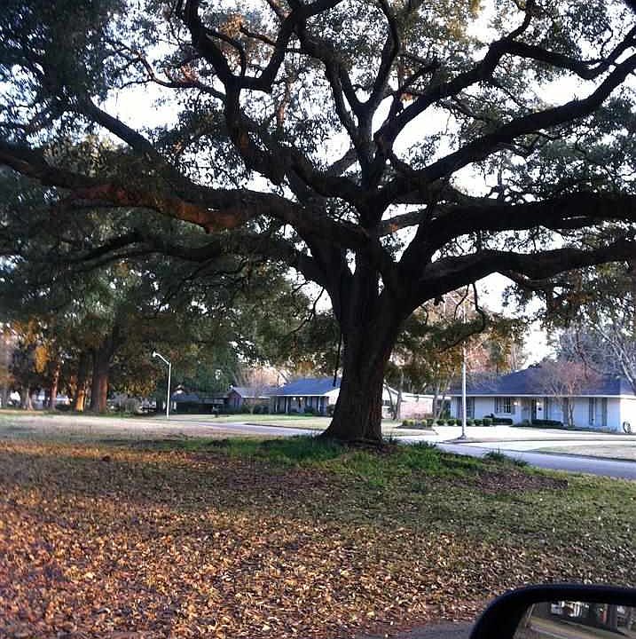 2nd image of 5723 Hibiscus Dr