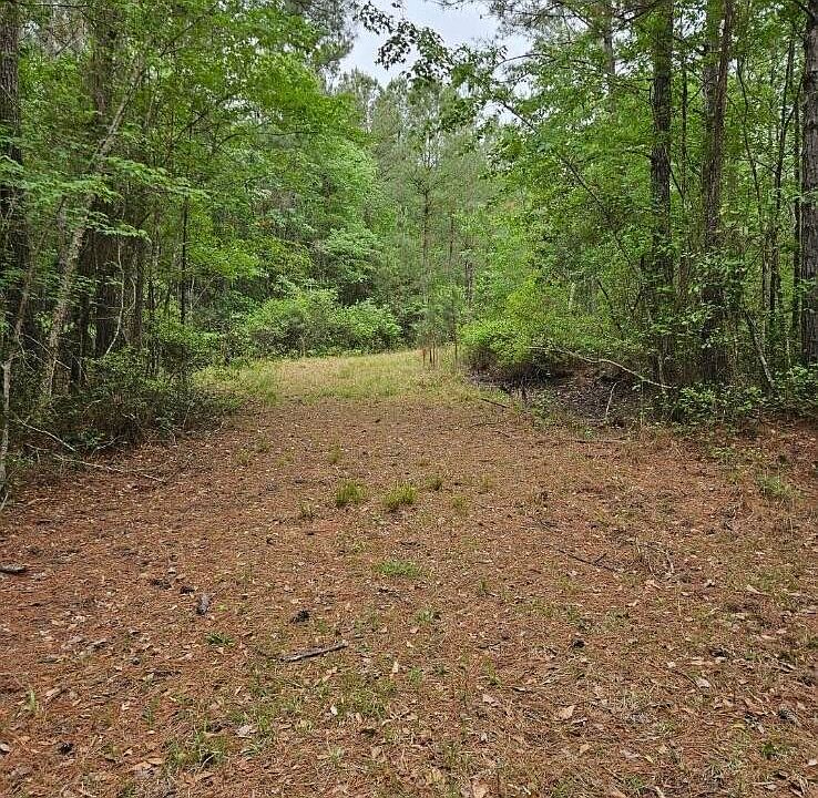 2nd image of 1300 Misty Ridge Ln