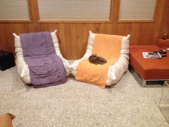 Entertainment Room