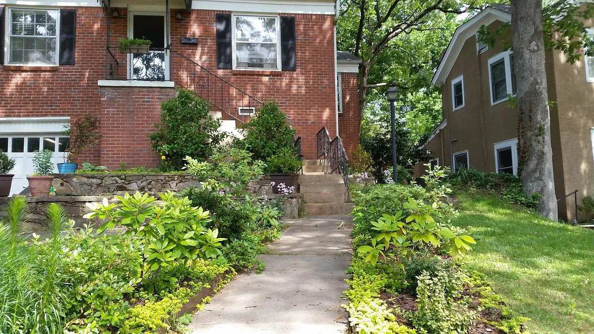 207 Vernon Avenue - 207 Vernon Ave