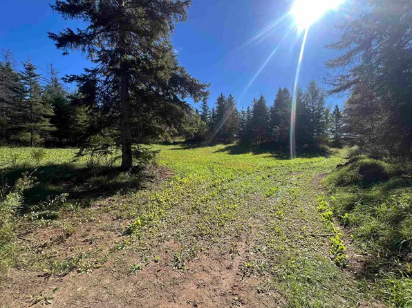 Badish Rd, Daggett, MI 49821
