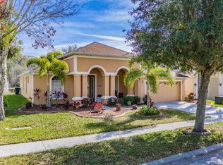 10536 Sky Flower Ct, Land O Lakes, FL 34638