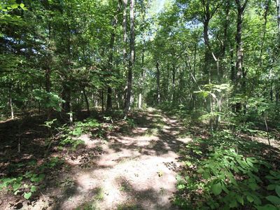 8300 Terry Lee Dr, Bloomsdale, MO, 63627