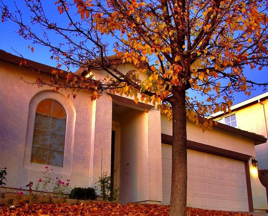 1st image of 111 Lembi Dr